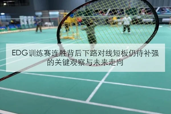 EDG训练赛连胜背后下路对线短板仍待补强的关键观察与未来走向